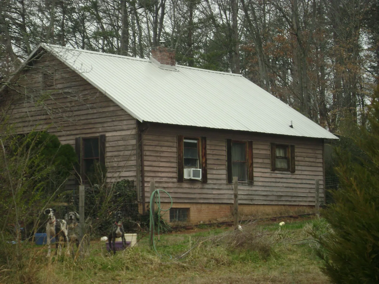 White metal roof on an old wood sided farmhouse, from a Asphalt Shingle Roof Repair job in Earlham